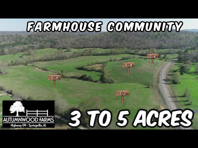 3 to 5 Acre Farmhouse Community Homesteads - Land For Sale in Alabama