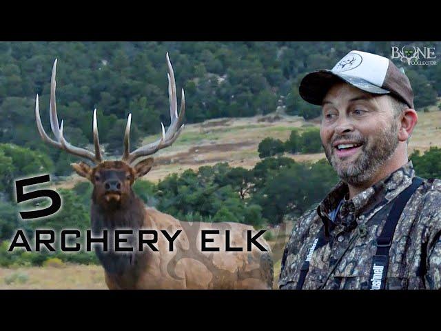 5 ARCHERY BULLS! Best of Michael Waddell