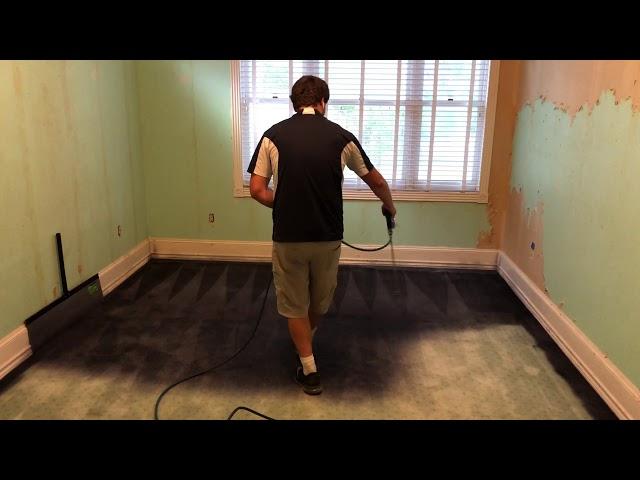 Carpet Dyeing!  NEW LOOK on this FADED GREEN carpet!