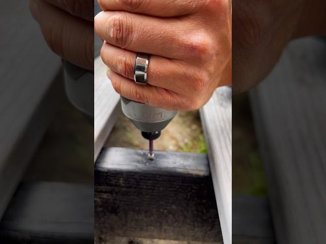 Remove A Stripped Screw the Easy Way