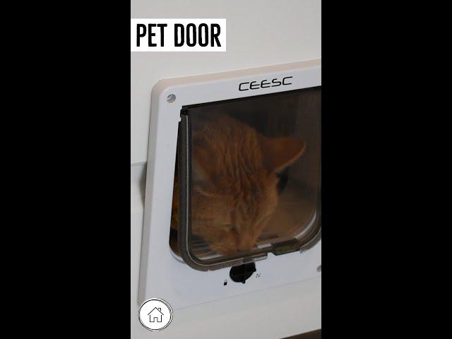 DIY Shorts - Install pet door into an EXTERIOR door #diy #basement