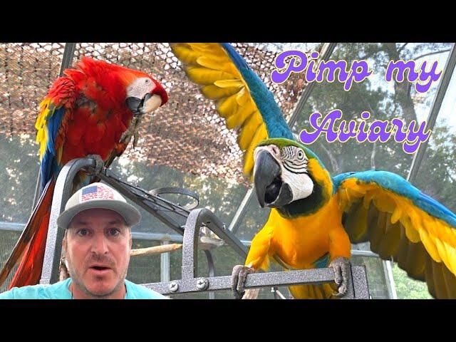 Build a HUGE bird cage! [ GIANT PARROT AVIARY ] #macaw