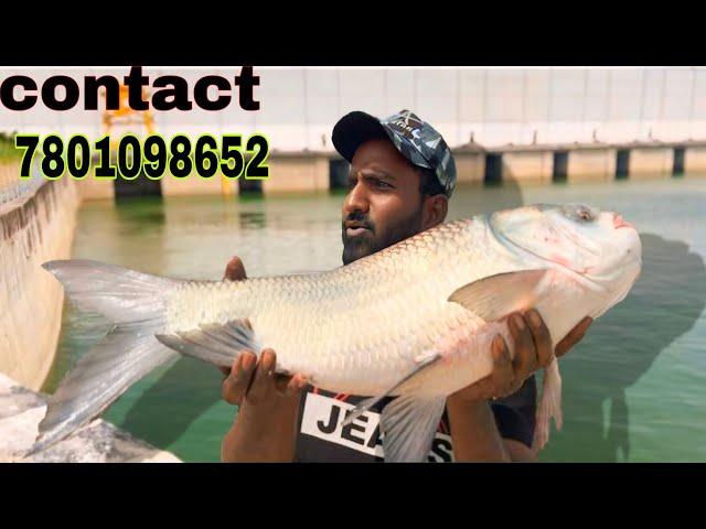 winter method feeder fishing | feeder fishing bait | amazing fishing videos | fishing 