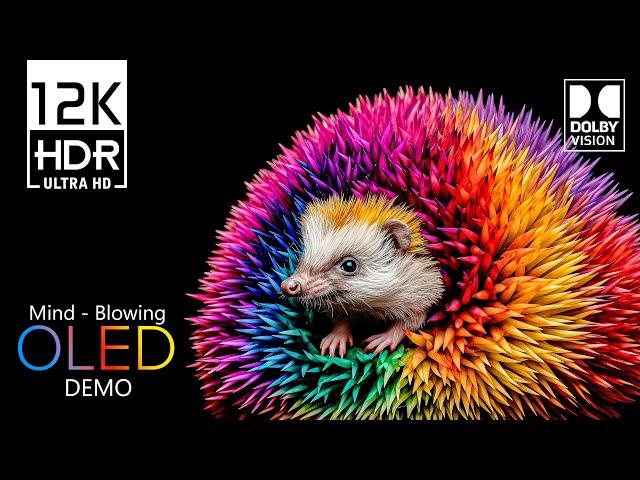 Amazing Vibrant World 12K HDR Video ULTRA HD 120 fps Dolby Vision