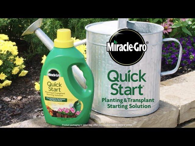 How to Use Miracle-Gro® Quick Start® Planting & Transplant Starting Solution