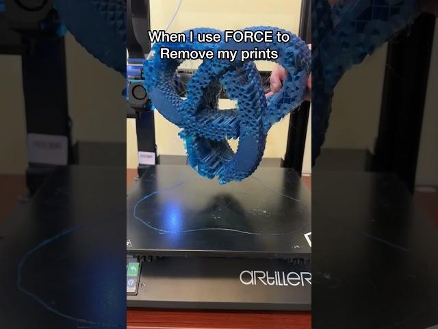 The inner feeling when you use force to remove stuck 3D prints