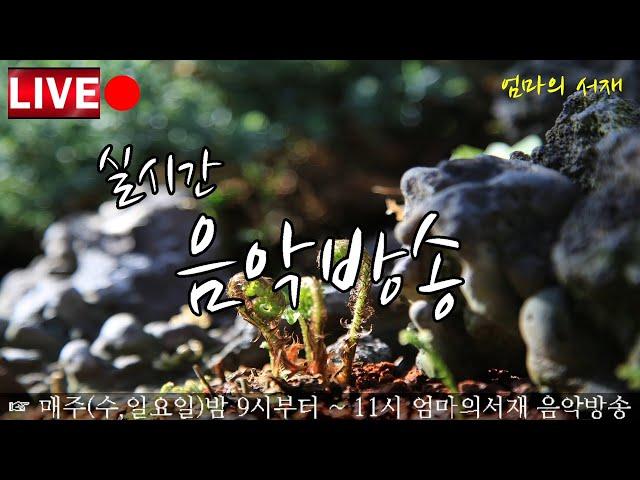 실시간 음악 방송  Real-time music broadcasting