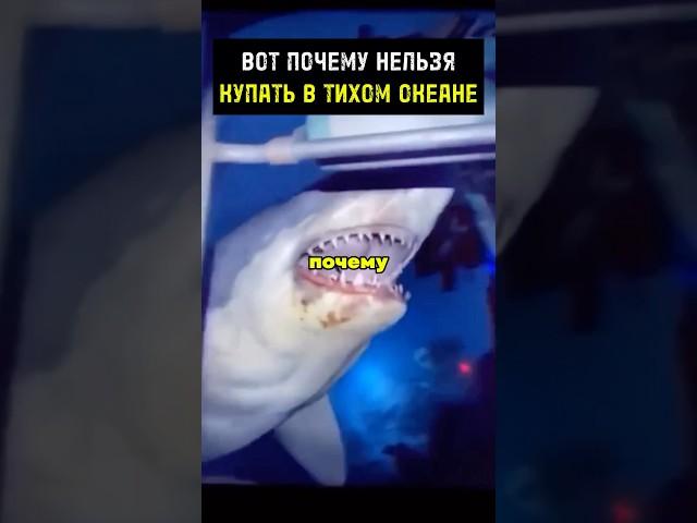 Вот почему нельзя купаться в Тихом океане! #мистика #факты #история