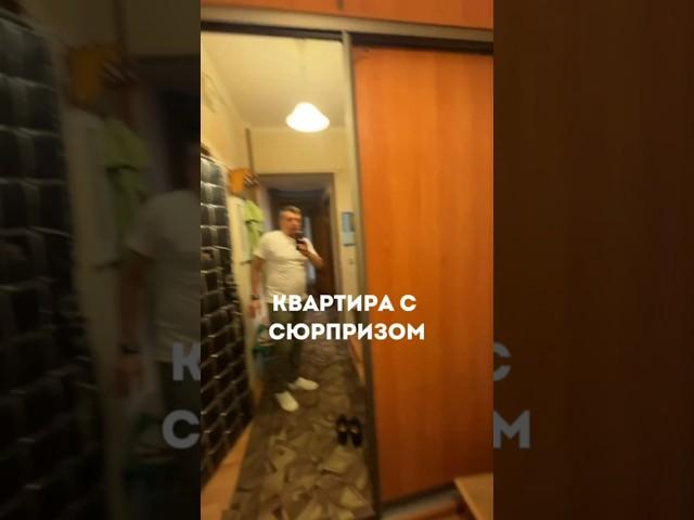 Квартира с сюрпризом, смотреть до конца #флиппинг #инвестиции #квартира #недвижимость