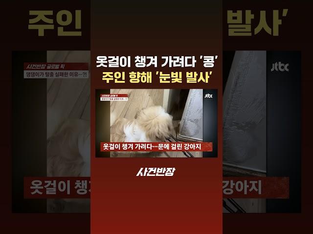 옷걸이 챙겨 가려다 '콩'…주인 향해 '눈빛 발사' #JTBC #Shorts