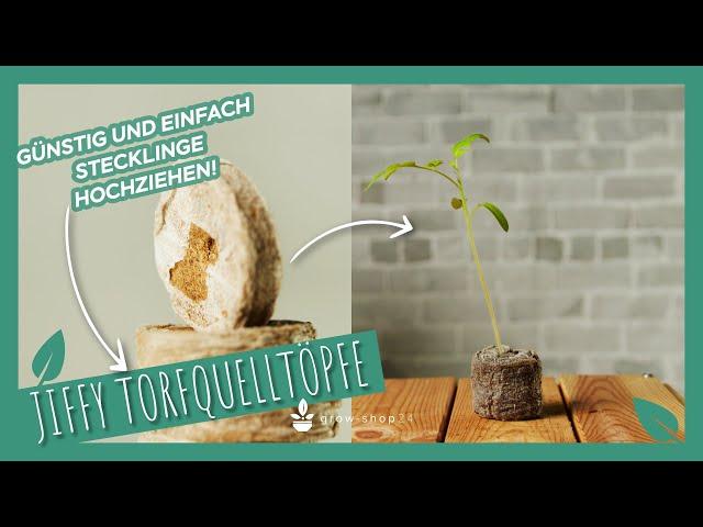 Jiffy Torfquelltöpfe – So gelingt die Keimung deiner Samen!