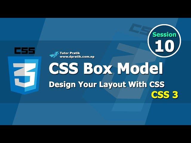 CSS Box Model - Design Your Web Layout Session 10  | Tutor Pratik