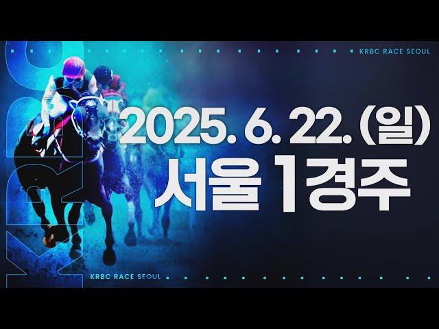 (서울) 2025.06.22 1경주