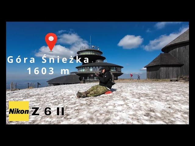 Sněžka czy Śnieżka ? Fotgrafia przyrodnicza - obserwacja #ptaki  #birdwatching #birdphotography