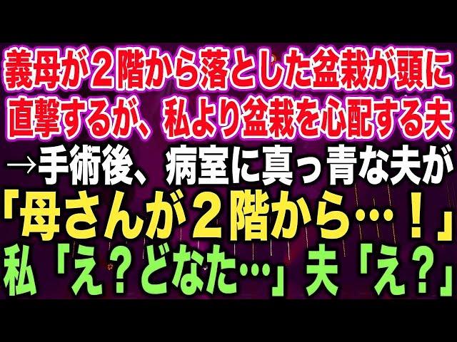 【スカッとする話】義母が２階から落とした盆栽が頭に直撃するが、私より盆栽を心配する夫→手術後、病室に真っ青な夫が「母さんが２階から…！」私「え？初めまして…」夫「え？」【修羅場】