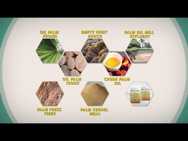 Oil Palm Products as Animal Feedstuffs