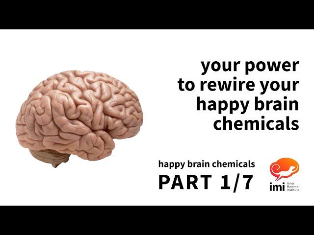 Your Power to Re-wire Your Happy Brain Chemicals (#1 of 7)