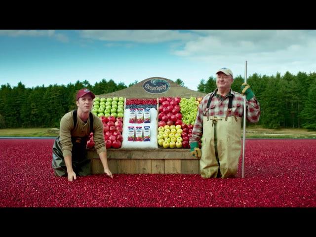 Ocean Spray Cranberry Juice Fruit Stand