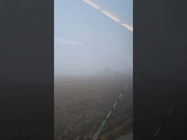 Foggy train in Sweden