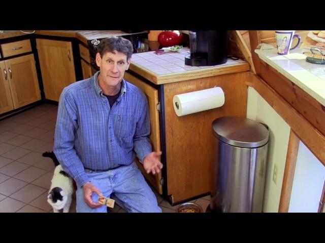 How to Get Rid of Mice