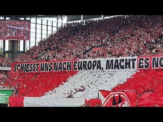 1. FC Köln vs. VfL Wolfsburg: Hymne und Choreografie vor dem Spiel