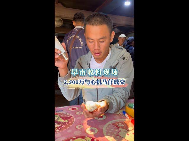 缅甸帕敢早市收料现场！2500万与心机马仔谈下一块料子！| 翡翠矿区 | 翡翠赌石直播 | 帕敢龙肯市场 | 缅甸翡翠原石 | 赌石价格 | 缅甸玉石视频 | 瑞丽盈江赌石批发