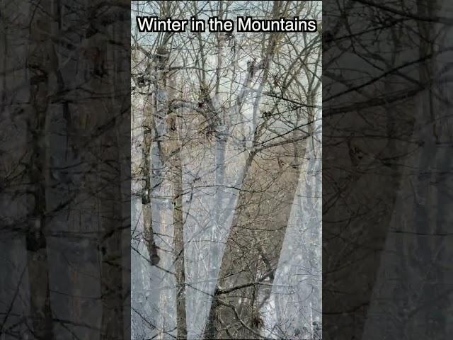 Winter in the Mountains #winter #mountains