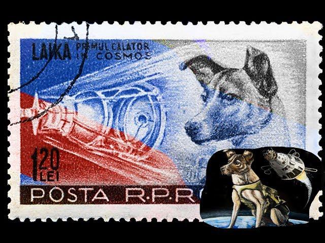 EL PRIMER SER VIVO EN EL ESPACIO | LA HISTORIA DE LAIKA | YIROXCAM