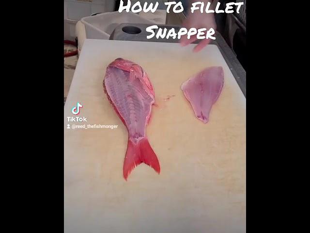 Filleting Snapper is easy with the right steps. 