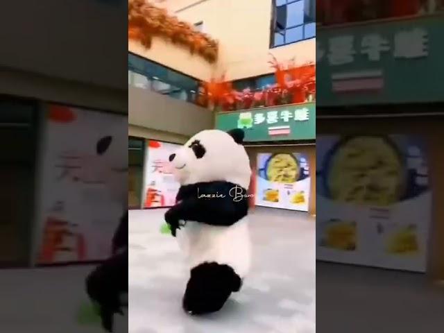 Funny Cute Panda Video #shorts #lol #panda #funny