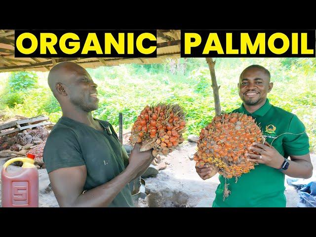 How Palm Oil is Produced in Nigeria