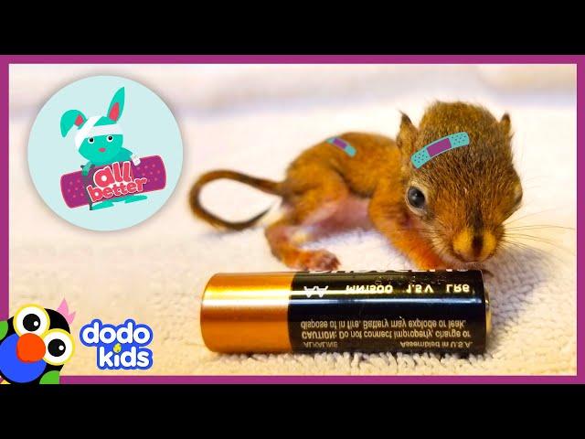 30 Minutes of Helping Baby Animals Feel Better | Dodo Kids