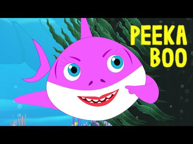 Baby Shark Peekaboo Song by FunForKidsTV - Nursery Rhymes & Songs