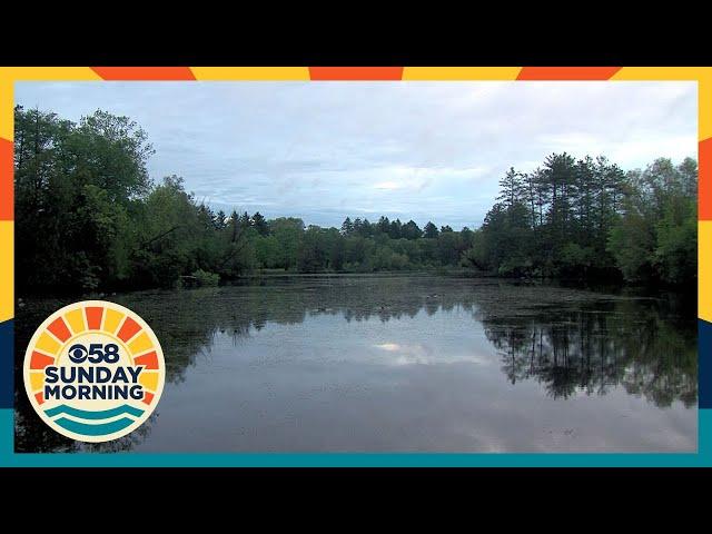 Moment in Wisconsin: Greenfield Lagoon at dawn