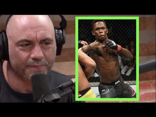 Joe Rogan on Striking Specialists in MMA