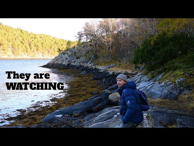 Hiking in Norway is okey, but can get STRANGE and SCARY fast - Hitra