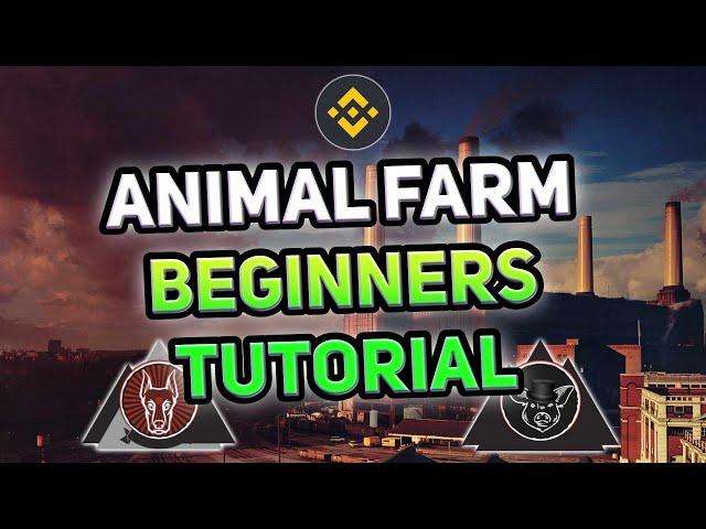 The Animal Farm DeFi Beginners Tutorial