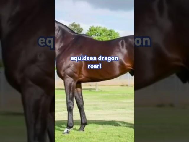 horse dragon hell yeah #robloxgamedev #equine #dragongame