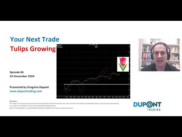 Your Next Trade Ep84 "Tulips Growing"