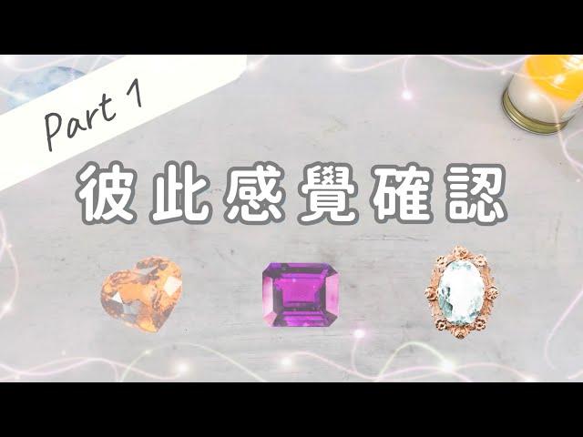 彼此感覺確認Part 1「無時間限制」｜塔羅占卜+占卜小物｜Ora Tarot