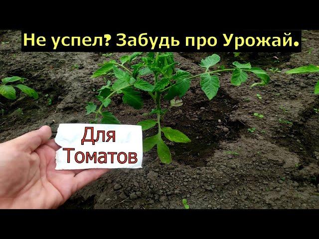 ОГУРЦЫ И ТОМАТЫ СРАЗУ ПОЙДУТ В РОСТ, ПОЛЕЙТЕ ЭТИМ И ОГУРЦЫ БУДЕТЕ СОБИРАТЬ ВЕДРАМИ!