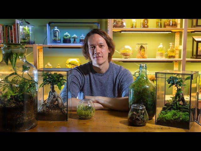 the ultimate terrarium guide