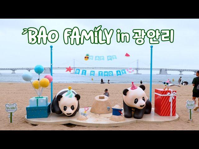 바오패밀리 인 광안리(BAO FAMILY in 광안리)