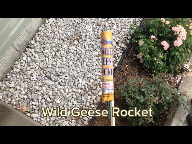 Wild Geese Rocket | Love Firework