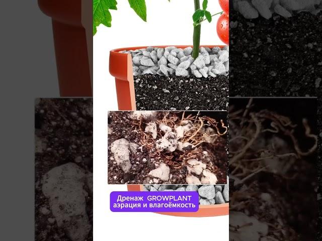 Умный горшок с субстратом GrowPlant #гроуплант #умныйгоршок #growplant #пеностекло