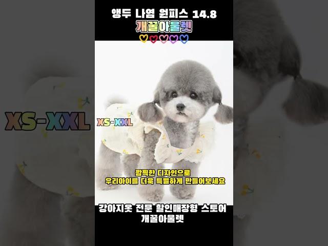 앵두나염 원피스 14.8 #강아지 #강아지여름옷 #강아지옷 #강아지원피스