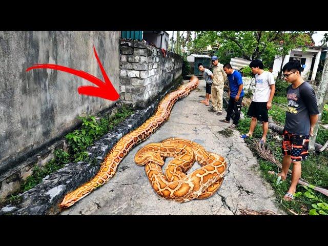 Detecting Traces Of The World's Largest Snake | Fishing TV