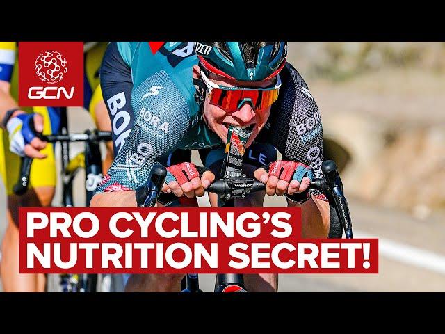 Cycling Nutrition Deep Dive - Can We Learn From The Pros?