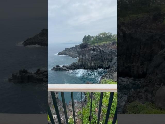PRIVATE TOURGUIDE WITH CUSTOMER FROM SINGAPORE | SPECIAL IN JEJU #tourguide #tourwithus