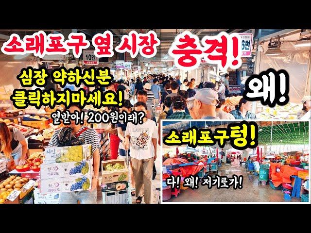 200원 왜! 소래포구옆! 충격! 뒷목잡았다! 심장 약하신분! 클릭 금지! 아 열받아! 소패포구텅! #폭락 #food #시장 #맛집 #물가 #수산물 #소래포구 #먹방 #먹거리